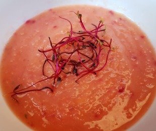 Zdjęcie przedstawia talerz zupy Krem z brukwi z pieczonym burakiem, przystrojonej kiełkami buraka